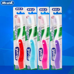 家居日用品 提升生活品质的日常艺术